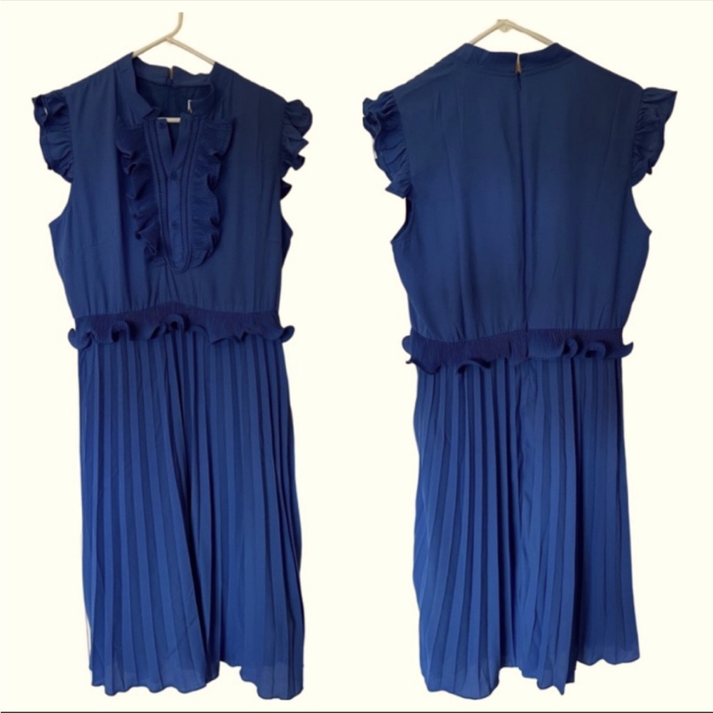 NWT Trish Scully pleated dress
